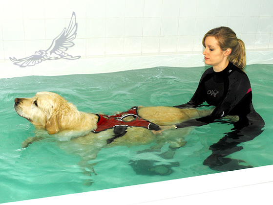 Hydrotherapy Pool - Hawksmoor Hydrotherapy