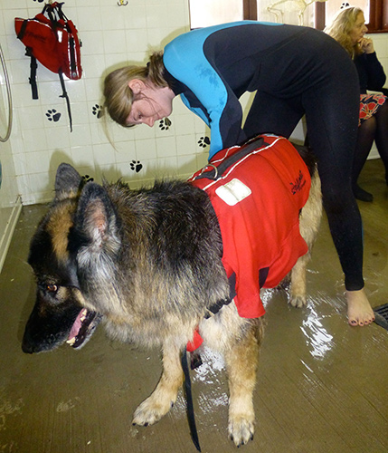 Lifejacket