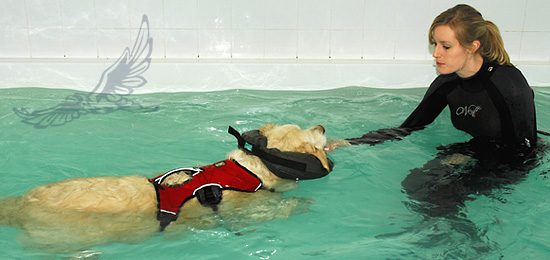 Swimming